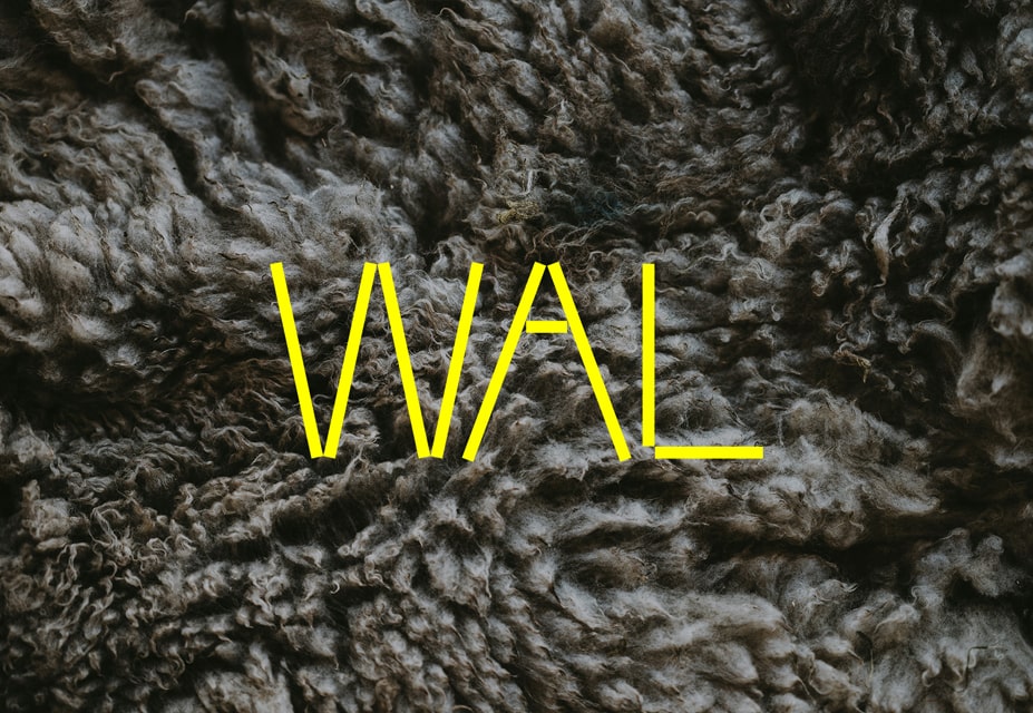 Waste Art Lab Waste Art Lab